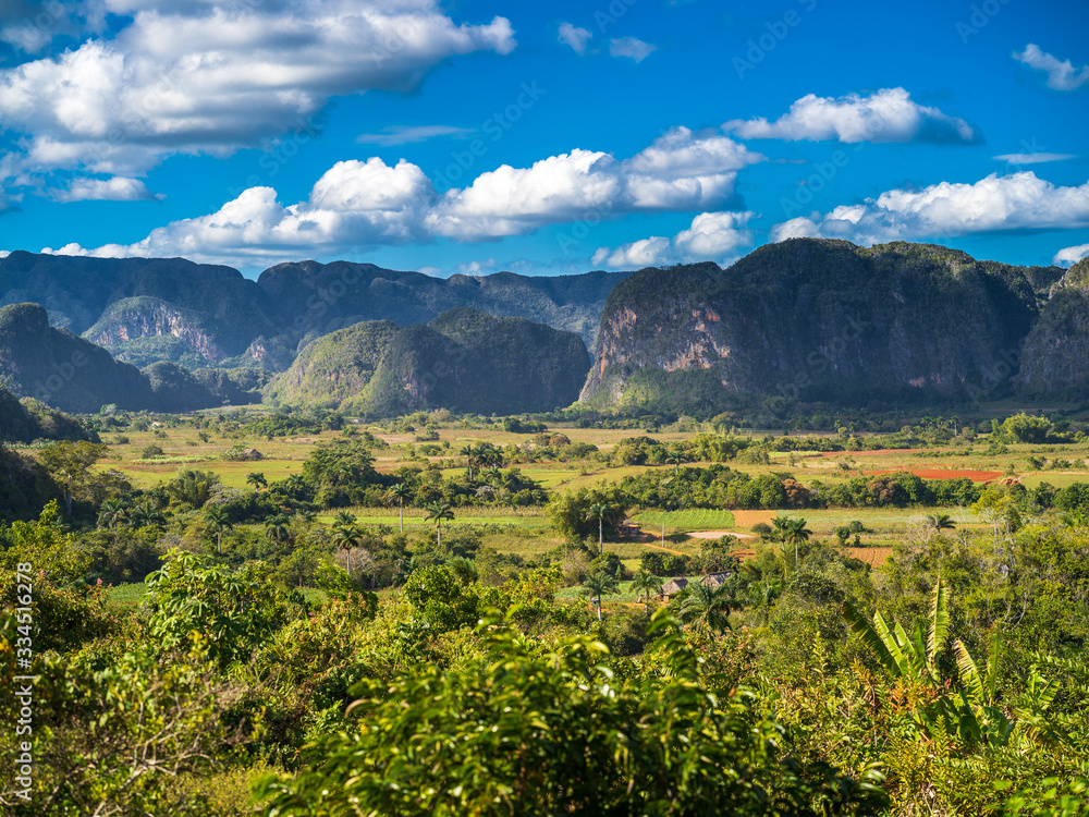 Fototapeta premium Green mountain landscape in the valley of vinales in cuba