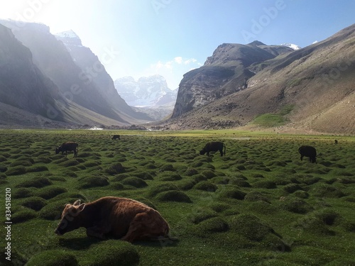 Pamir Mountains photo