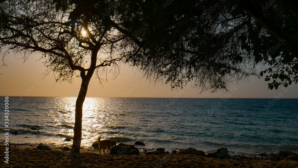 Sunset at Caribbean Sea, Baru Island. Paradise tropical beach in Cartagena, Colombia. Sunset at Caribbean Sea, Baru Island. Paradise tropical beach in Cartagena, Colombia.