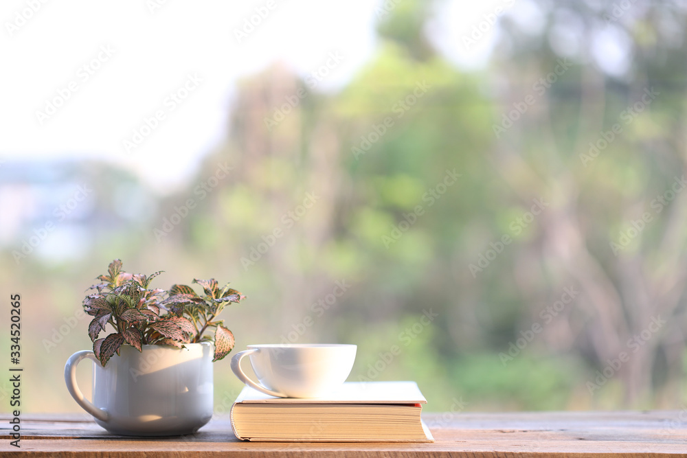 notebook and white coffee cup with red plant Nerve plant in small cup pot on wooden table at outside notebook and white coffee cup with red plant Nerve plant in small cup pot on wooden table at outside