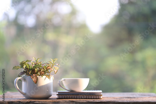 Spiral notebook and white coffee cup with red plant Nerve plant in small cup pot on wooden table at outside