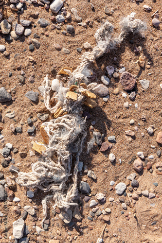 A tangled fishing net discharged ashore the Baltic Sea after a storm. Environmental pollution