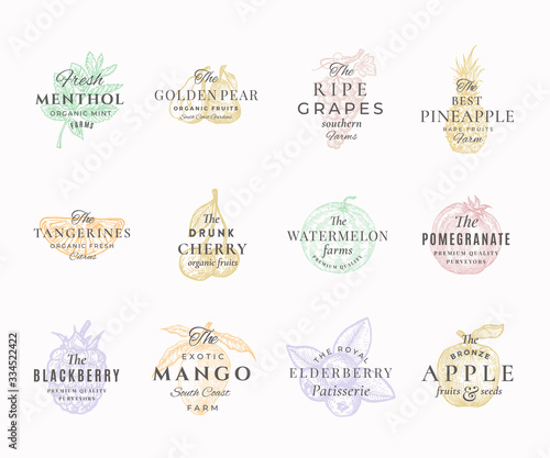 Premium Qualituy Fruits, Berries and Spices Elegant Labels Set. Abstract Vector Signs, Symbols or Logo Templates. Hand Drawn Food Sketches with Retro Typography. Vintage Emblems Collection.