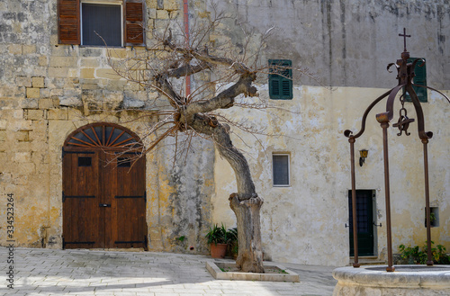 Well and a tree at Misrah Mesquita Square in Mdina,Malta photo