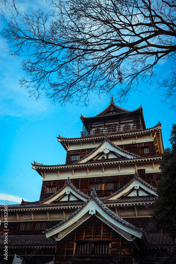 Black Carp Castle in Hiroshima, Japan Black Carp Castle in Hiroshima, Japan