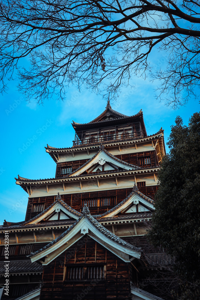 Black Carp Castle in Hiroshima, Japan Black Carp Castle in Hiroshima, Japan