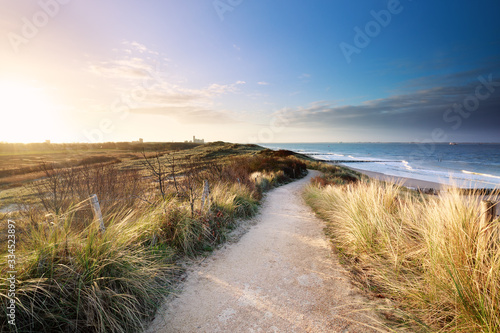 view on sea beach from path on dunes