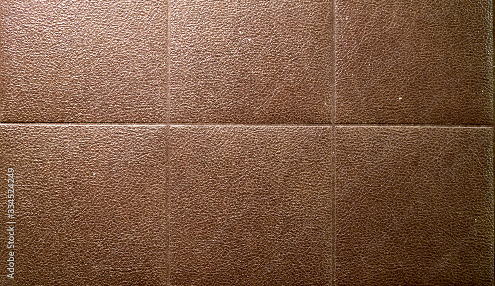 Fototapeta premium the texture of the door cladding