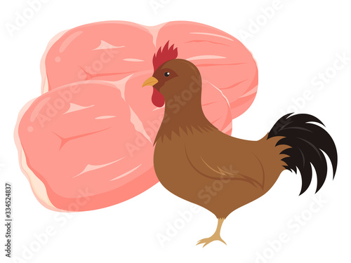 鶏もも肉と地鶏のイラスト