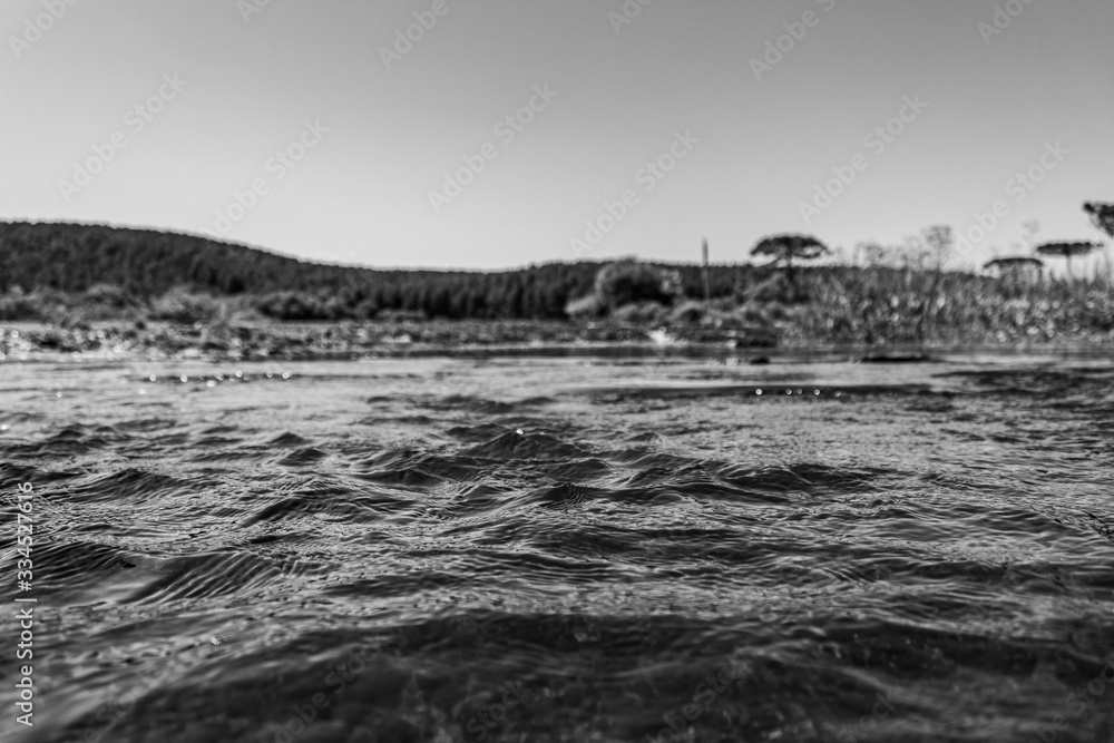 Brazilian Nature Landscapes River Farm Animals