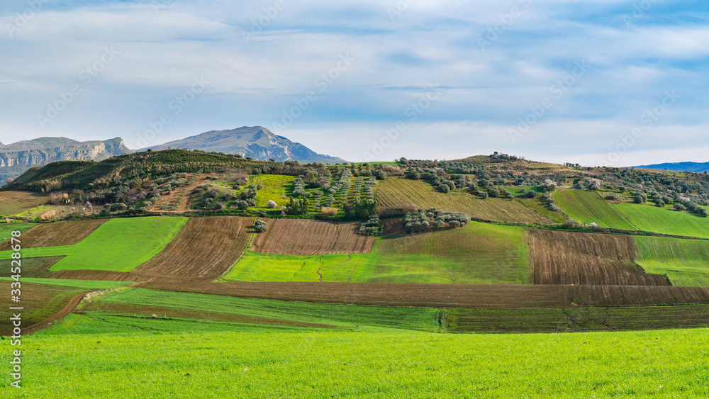 spring landscapes in Sicily, Italy