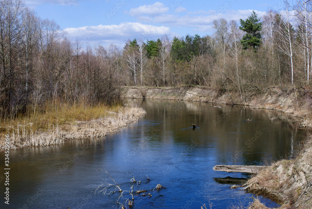 Spring morning on the lake, calm expanse of water and the shore with trees, balance and peace. Spring morning on the lake, calm expanse of water and the shore with trees, balance and peace.