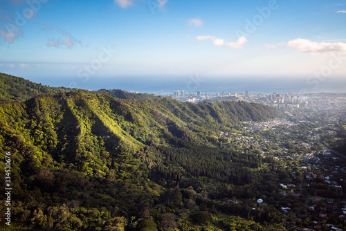 Aerial view of tropical rainforest in Hawaii © Aitcheeboy