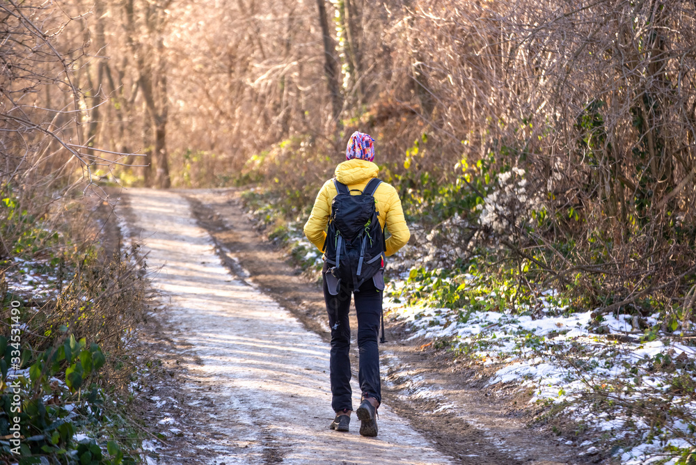 Person walking through the nature alone in winter, wearing bakcpack