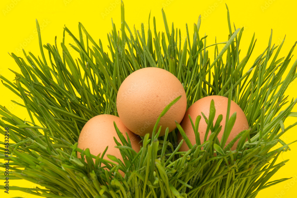Brown eggs on green grass, isolated on yellow background Brown eggs on green grass, isolated on yellow background