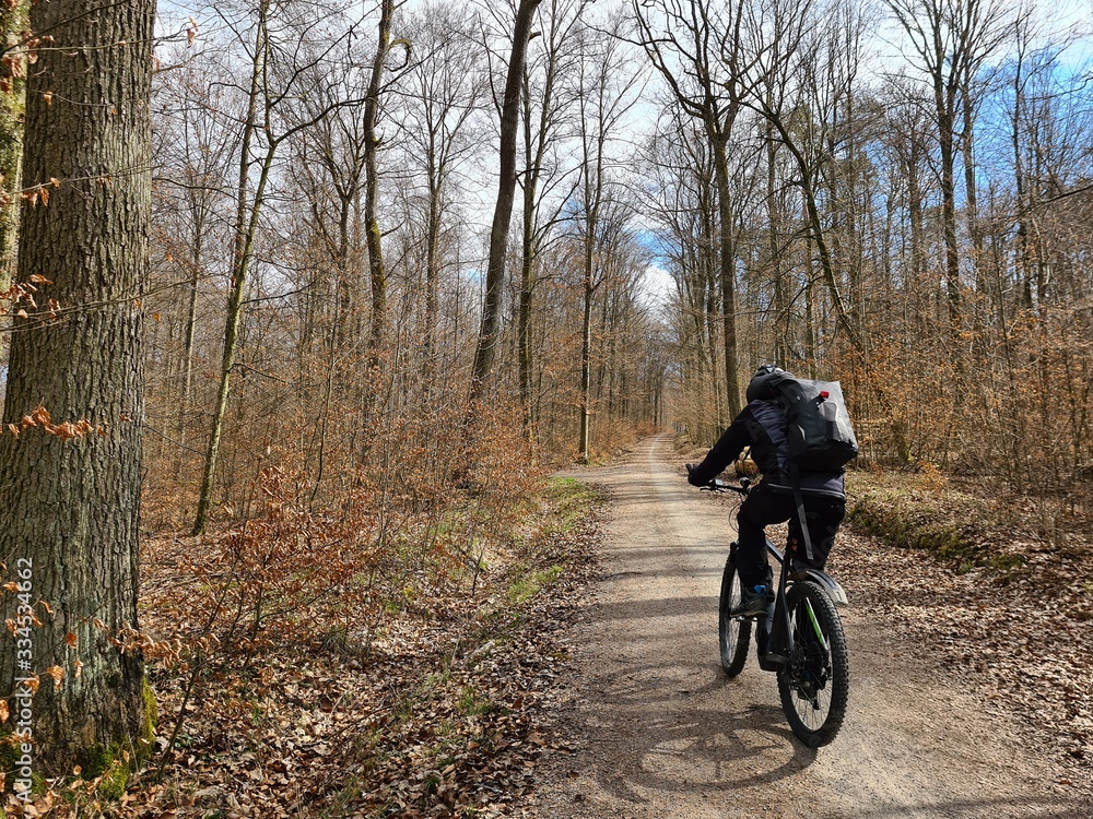 Naklejka premium radfahrer im wald