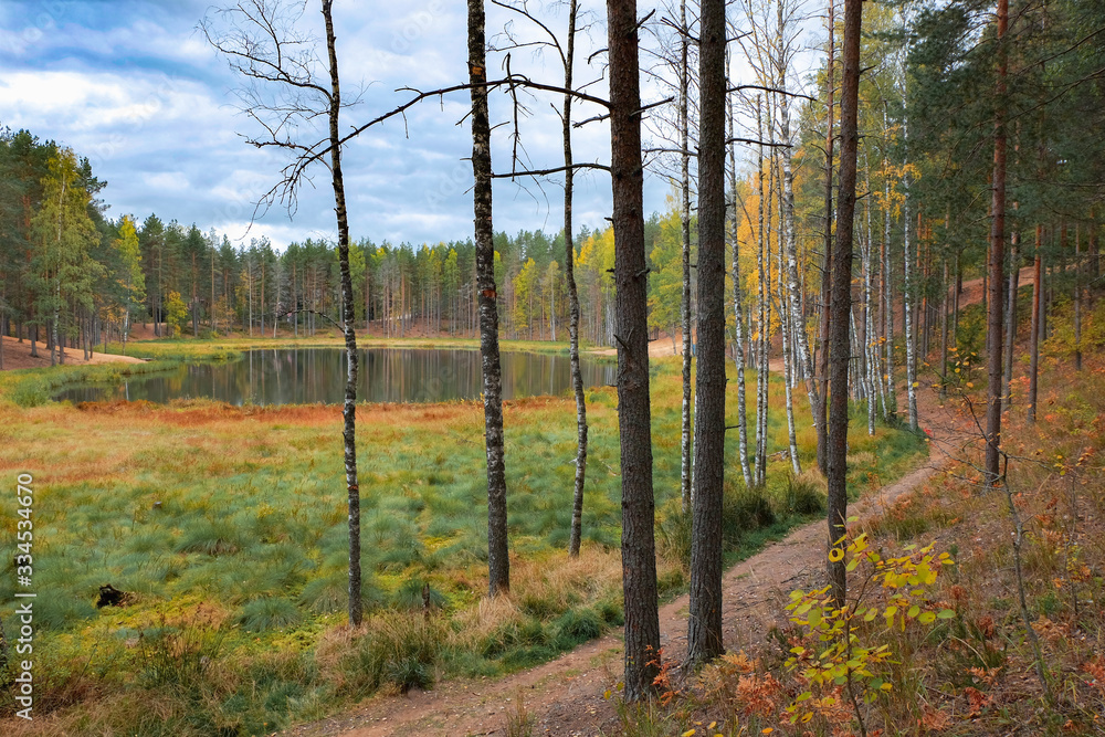 Small lake in autumn forest. Overgrown swamp and cloudy sky. Small lake in autumn forest. Overgrown swamp and cloudy sky.