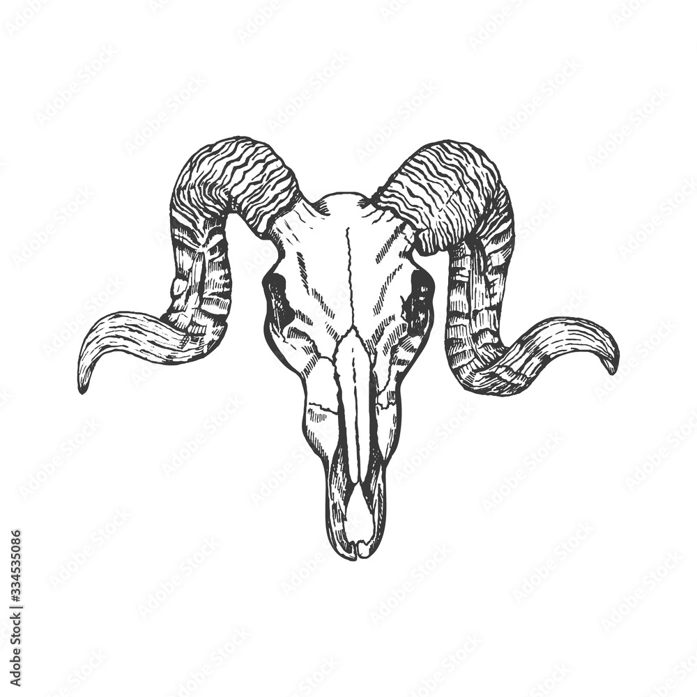 Ram Animal Head Tattoo