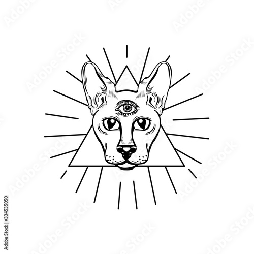 Three eyed oracle cat hand drawn illustration. Cat of providence in triangle isolated on white background. Element for pagan, occult magic, halloween or witchcraft theme.