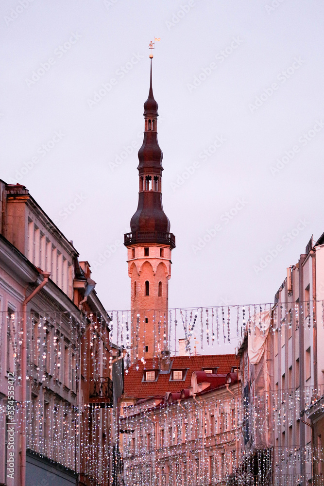 Fototapeta premium old town of Tallinn in the dawn in rose light