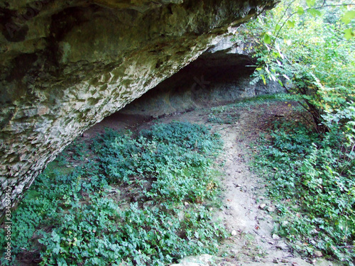 The canyon of the Pazincica river before the abyss and the Pazin cave - Pazin, Croatia (Kanjon rijeke Pazincice pred ponorom i pecinom Pazinska jama - Pazin, Hrvatska) photo