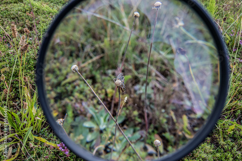 look through a magnifying glass