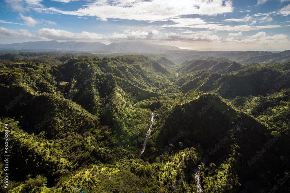 Aerial view of tropical rainforest in Hawaii