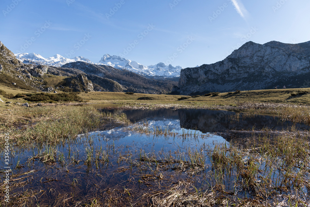 mountainous landscape, small lake in which the mountain, the meadow and the blue sky are reflected
