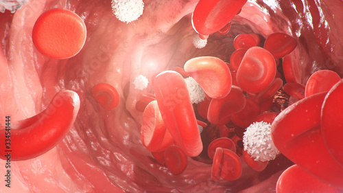 Red blood cells inside an artery, vein. Flow of blood inside a living organism. Scientific and medical concept. Transfer of important elements in the blood to protect the body. 3d illustration photo