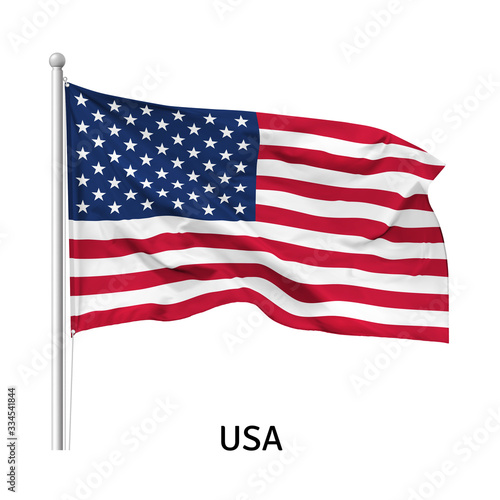 Flag of the United States of America in the wind on flagpole, isolated on white background, vector