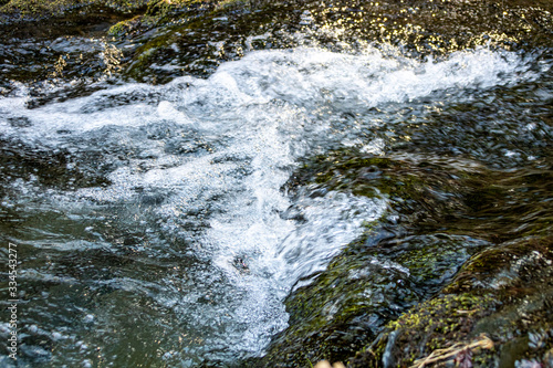 Gew  sser und Auen im Naturschutzgebiet