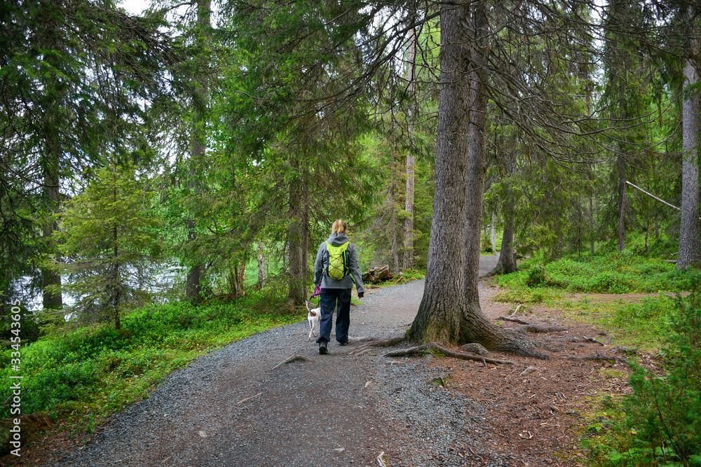 Woman hiking in forest in Lapland Finland