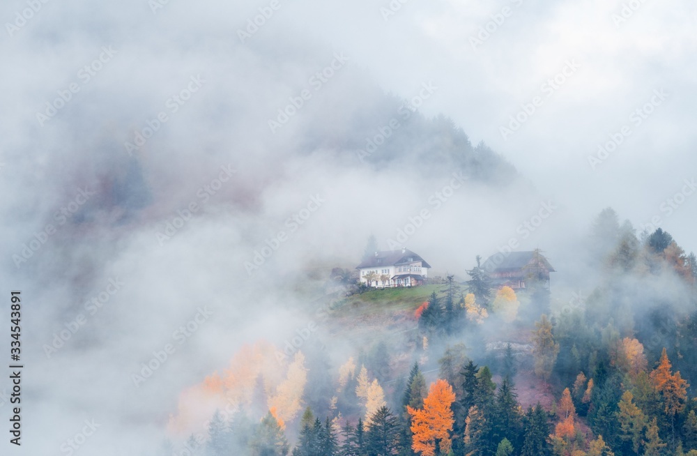 Dolomites fog color foliage