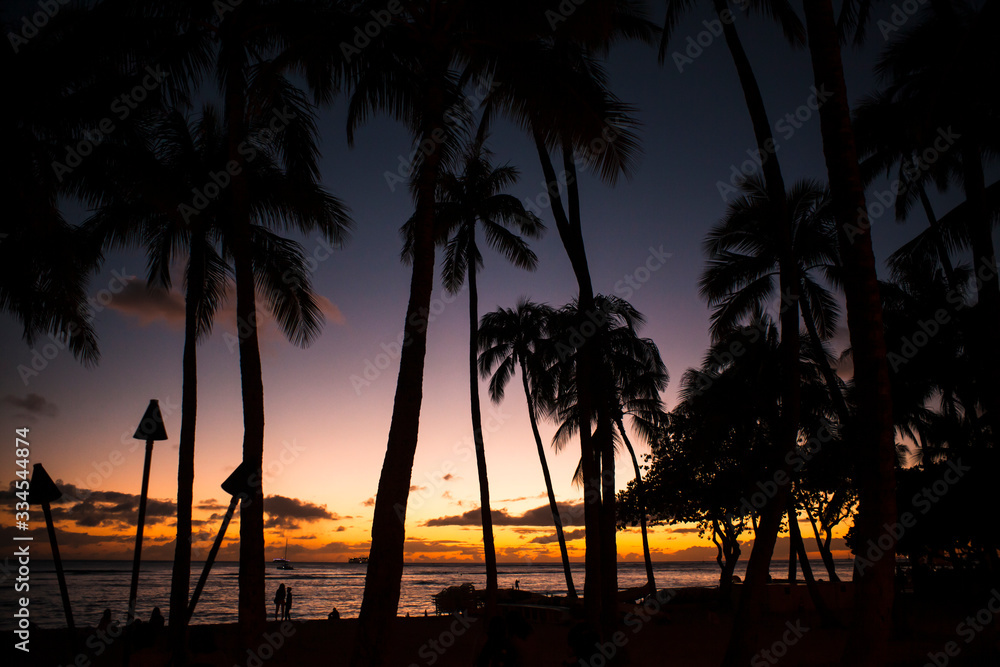 waikiki sunset waikiki sunset