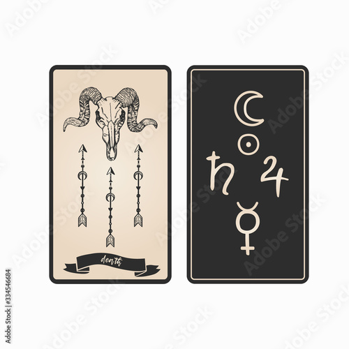 Death tarot card front and back. Tarot card with animal skull vector illustration.
