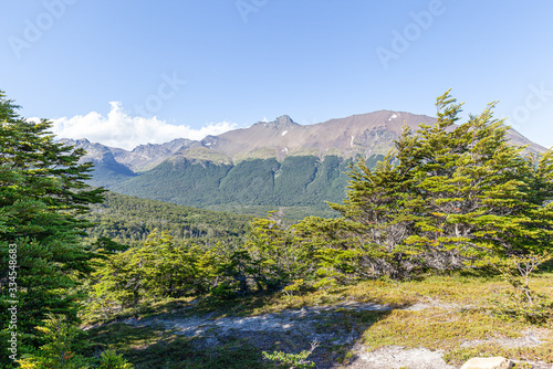 Pathway at forest in Tierra del Fuego National Park - Ushuaia - Argentina