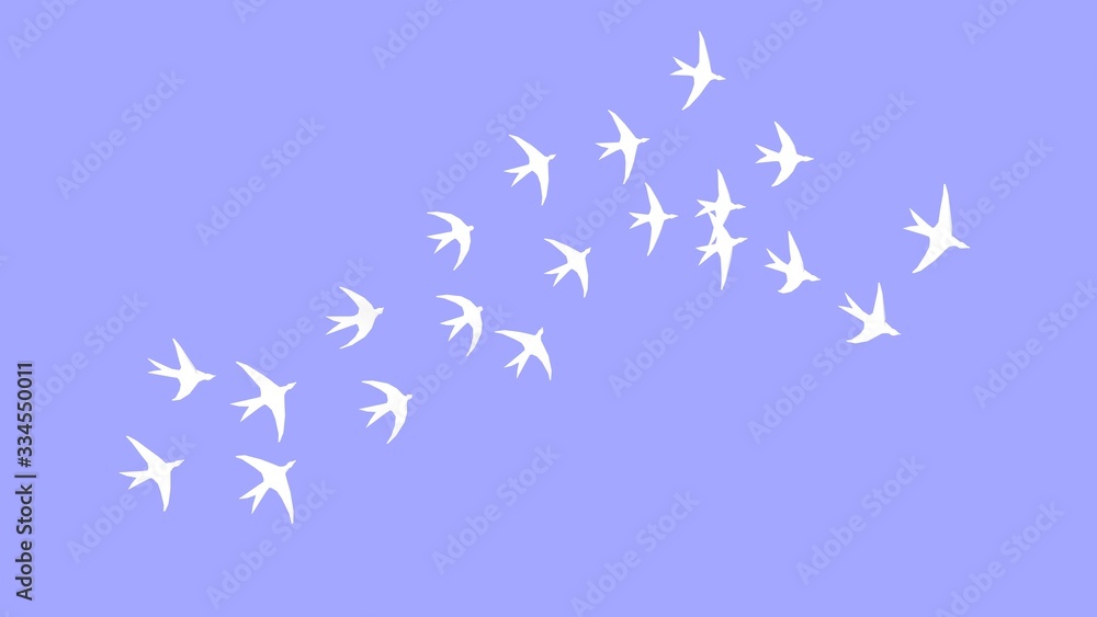 3D rendering swallows group flying spread sky freedom animals 3D rendering swallows group flying spread sky freedom animals