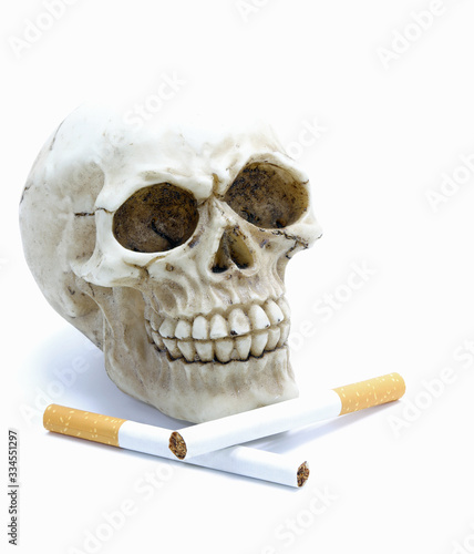 skull with two cigarettes on a white background photo