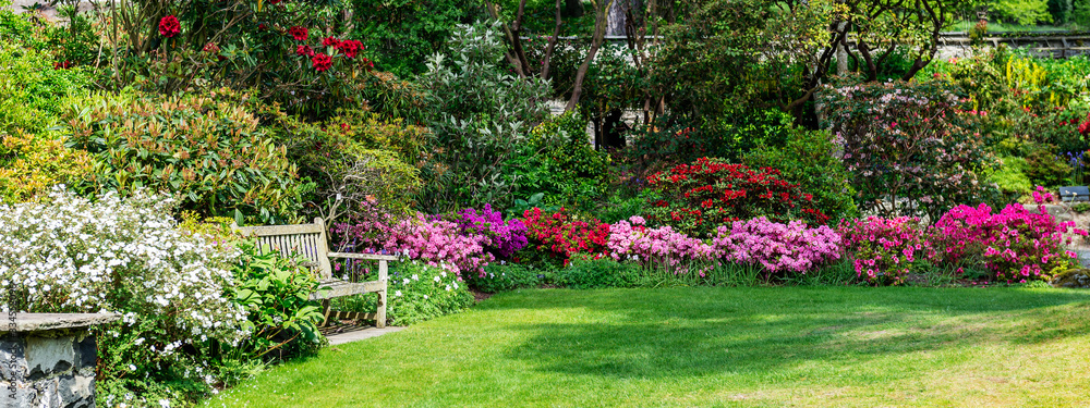 Beautiful Garden with blooming trees during spring time, Wales, , banner size - obrazy, fototapety, plakaty 