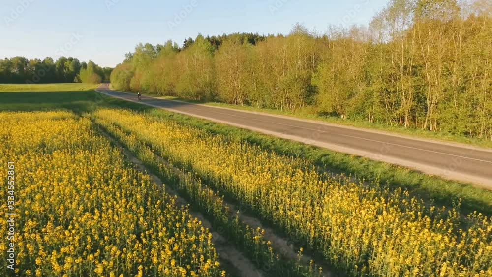 Aerial view. Beautiful view of passing motorcycle on rural asphalt road, next to beautiful yellow field. Aerial view. Beautiful view of passing motorcycle on rural asphalt road, next to beautiful yellow field.