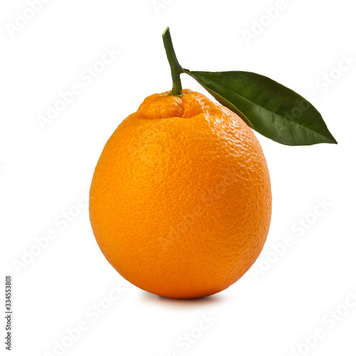 Orange from Sicily – "Tarocco Ippolito" Cultivar – Isolated on White Background