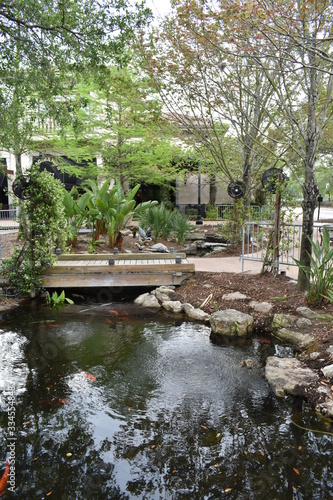 Water Features