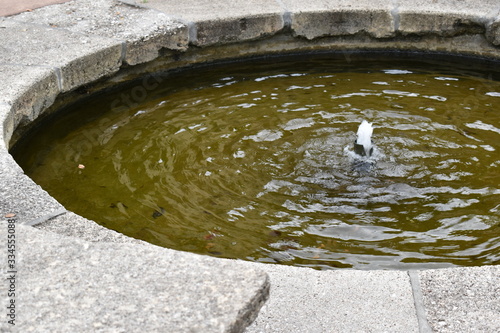 fountain in the park