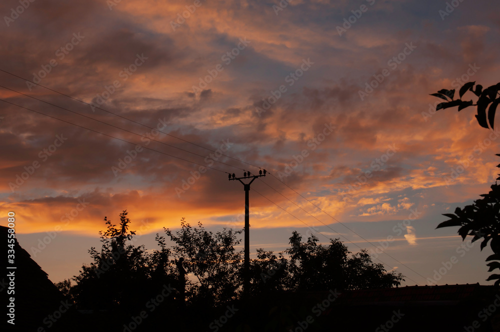landscape in the evening with orange light, trees, houses landscape in the evening with orange light, trees, houses