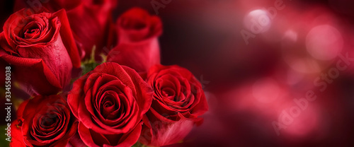 Red roses flower on vintage old wooden board.  Valentines day wide rose banner.