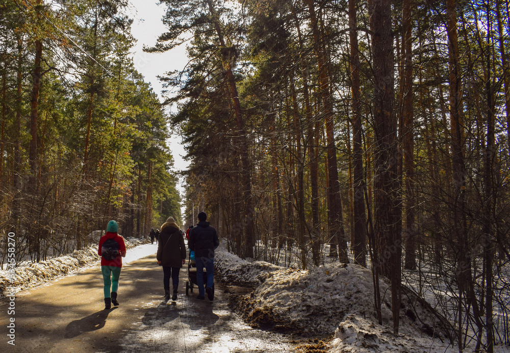 Early spring. People walk in the park on a sunny day. Spring came. Snow melts. Puddles on the road. 