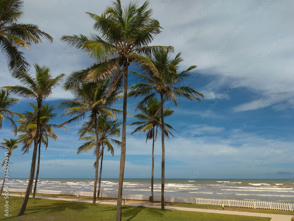 landscape of coconut trees on Barra do Coqueiros beach, in Aracaju / Sergipe. landscape of coconut trees on Barra do Coqueiros beach, in Aracaju / Sergipe.