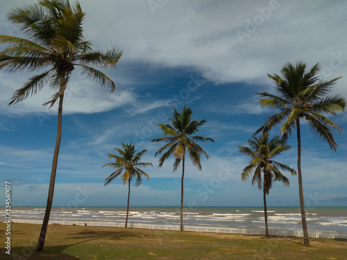 landscape of coconut trees on Barra do Coqueiros beach, in Aracaju / Sergipe. © Leonidas