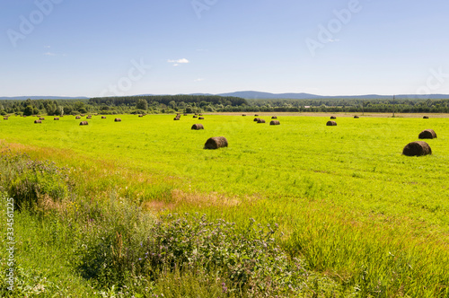 There are many stacks around. Meadow in the hot summer. Plants around. Green forest and mountains far away. Blue heaven above. Bright landscape