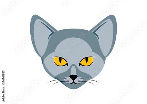 Fototapeta Naklejka Na Ścianę i Meble -  Grey cat head icon vector. Grey cat with yellow eyes vector. Cat head graphic icon isolated on a white background. Beautiful cat head clip art